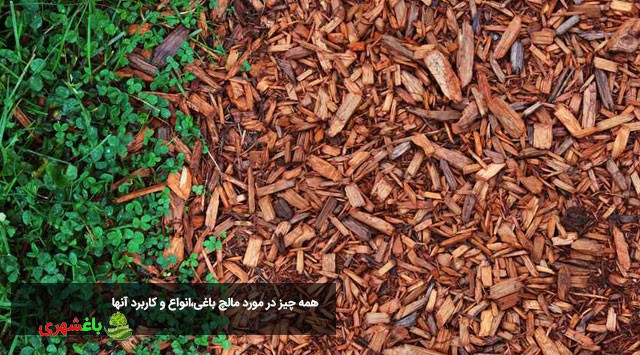 همه چیز در مورد مالچ باغی،انواع و کاربرد آنها